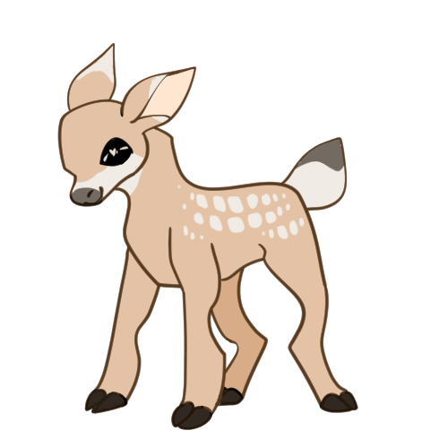 Fawned Fawn