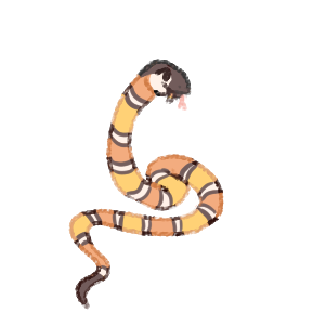 Candy Corn Snake